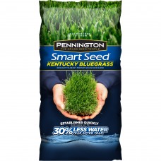 Pennington Smart Seed Kentucky Bluegrass Grass Seed, 3 lb   564077265